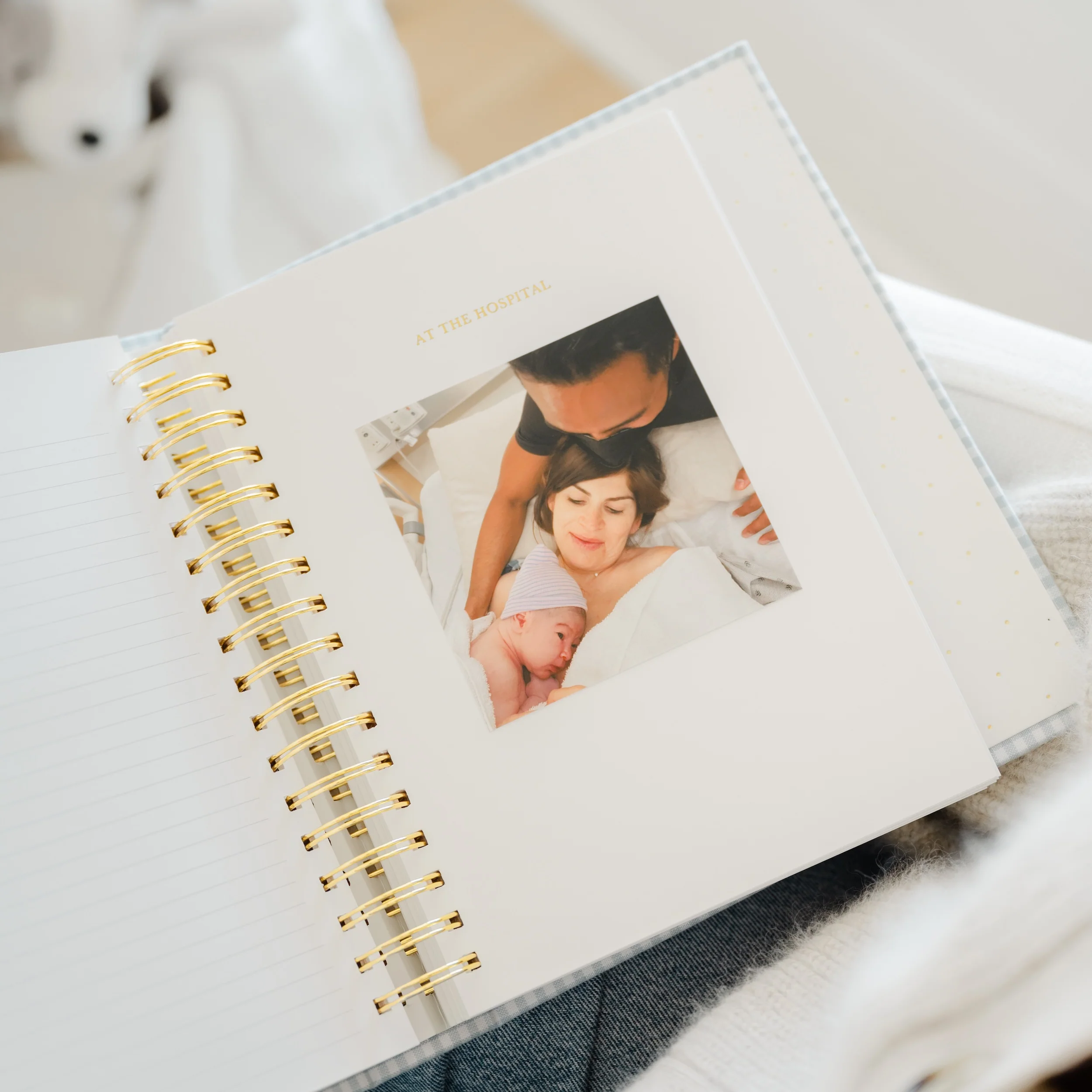 Pink Gingham Sugar Paper x Maisonette Baby Book - Image 12