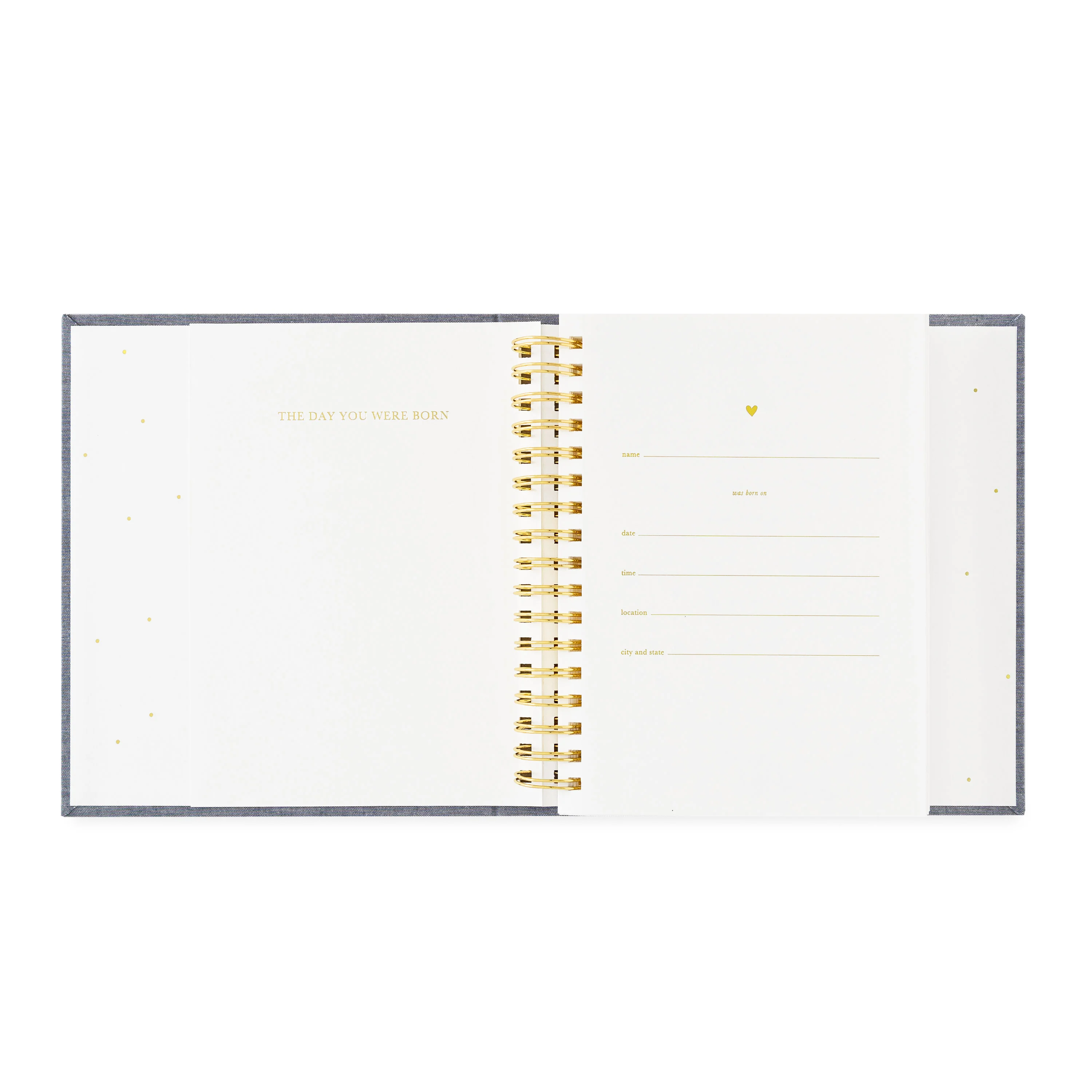 Rose Linen Birthday Book - Image 7