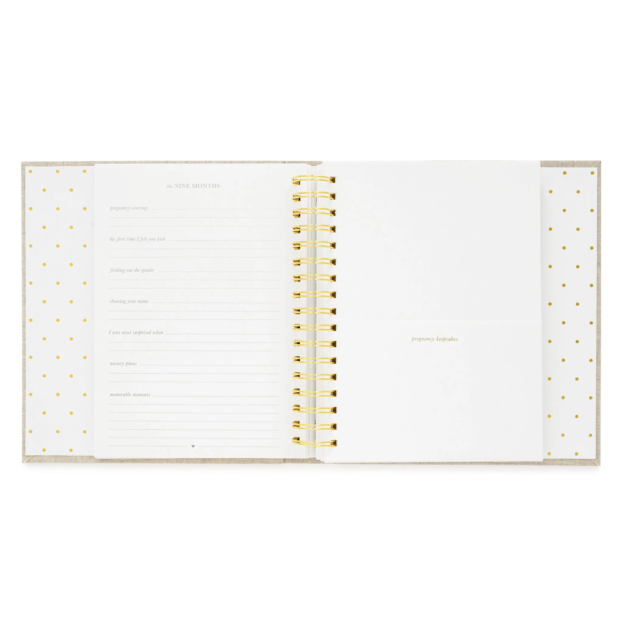 Cream and Black Pindot Baby Book - Image 17