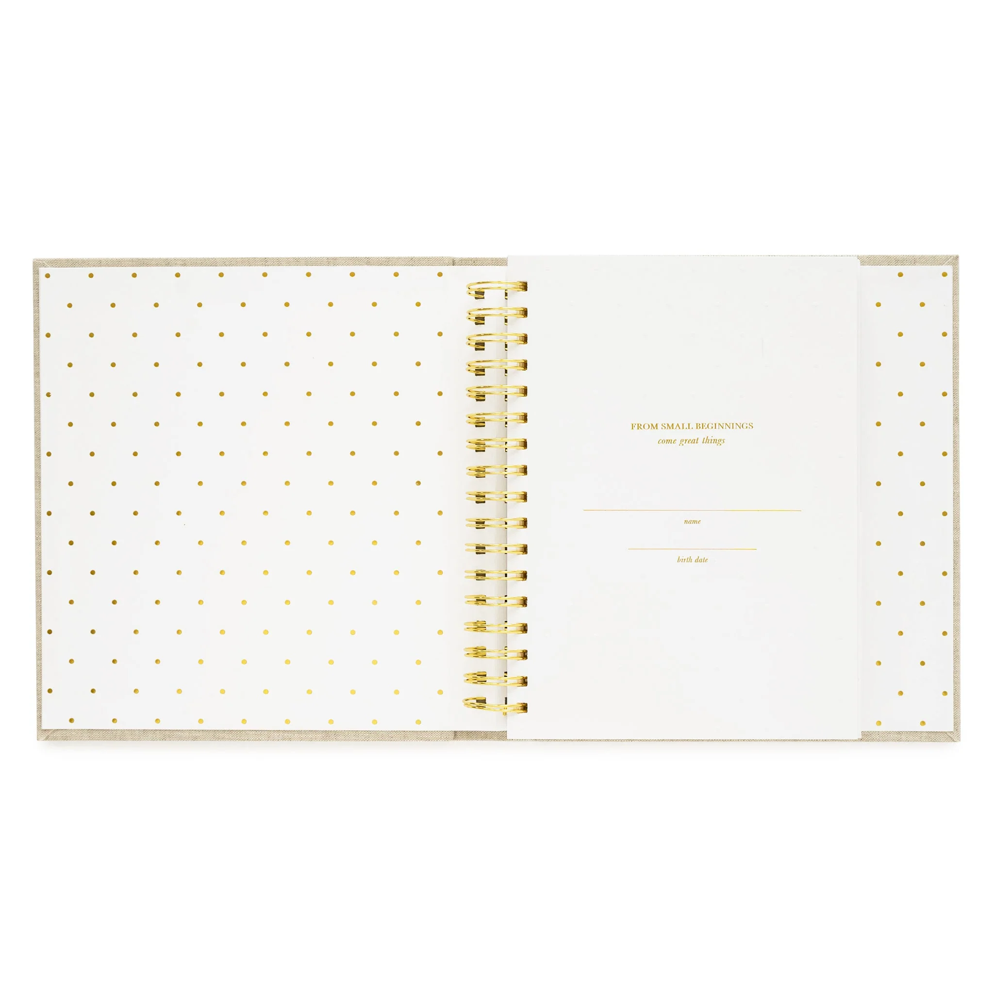 Cream and Black Pindot Baby Book - Image 19